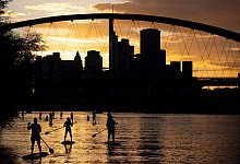 Stand-Up-Paddling auf dem Main - Boris Roessler/dpa