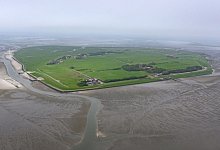 Insel Neuwerk - Jonas Walzberg/dpa