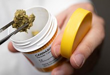 Cannabis-Legalisierung - Boris Roessler/Deutsche Presse-Agentur GmbH/dpa