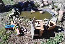 Wildv&ouml;gelprojekt - Manuela Schramm