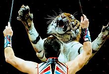 Gegen den Zirkus Krone formiert sich in Bielefeld Widerstand. - Pixabay