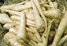 Wurzelpetersilie schmeckt auch roh - Foto: Andrea Warnecke/dpa-tmn