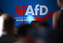 Auftaktveranstaltung der AfD in Brandenburg zur Landtagswahl - Britta Pedersen/dpa