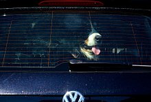 Gerne mitfahren - Foto: Axel Heimken/dpa