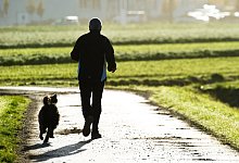 Dogsharing - Foto: Christoph Schmidt/dpa