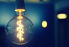 pear-4056741 - Symbolbild: Pixabay