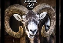 Shantallica singen den Song live zum ersten Mal auf dem Weihnachtsmarkt am S&uuml;sterplatz. - Screenshot: Facebook