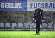 Engagiert - Foto: Britta Pedersen/dpa-Zentralbild/dpa