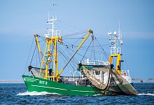 Fischerei in der Nordsee - Sina Schuldt/dpa