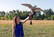 TV-Ausblick Arte - &laquo;Mein Falke&raquo; - Frederic Batier/Provobis Film/NDR/Arte/dpa