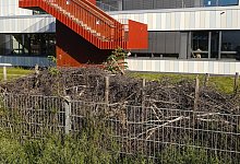 Eine sogenannte Totholzhecke - Uwe Anspach/dpa/dpa-tmn