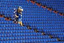 Erwin - Foto: Leon Kuegeler/Reuters/Pool/dpa