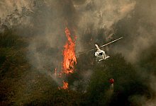 Waldbrände in Spanien - Adrián Irago/EUROPA PRESS/dpa