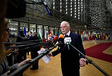 Brüssel - Virginia Mayo/AP