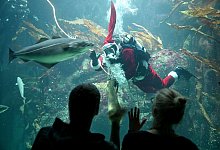 Nikolaus - Foto: Carsten Rehder/dpa