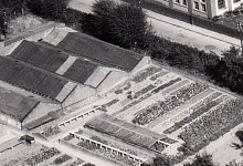 Gärtnerei Kaufmann_ca1959 - Westdeutscher Luftfoto Bremen