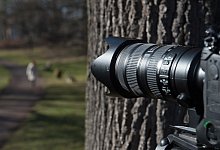 F&uuml;r mehr Kontraste - Foto: Sebastian Kahnert