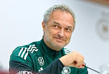 Deutschland - Spanien - Uwe Anspach/dpa