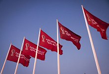 Fu&szlig;ball-WM - Christian Charisius/dpa