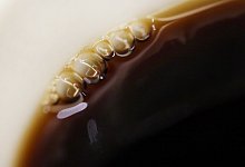 Umgekippter Kaffee im Flugzeug - Foto: Martin Gerten/dpa