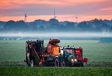 Ernte von Bio-M&ouml;hren am fr&uuml;hen Morgen - Foto: Julian Stratenschulte/dpa