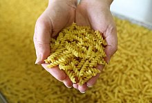 Eine Handvoll Fusilli - Foto: Bernd W&uuml;stneck/dpa-Zentralbild/dpa-tmn