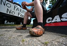 Nicht nur Landwirte: Bei den Bauernprotesten laufen auch Rechtsextreme und Querdenker mit. - Lars Klemmer/dpa