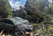 Unwetter an italienischer Adriaküste - Alessio Marini/LPS via ZUMA Press Wire/dpa