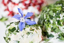 Veganer Cashew-Frischkäse - Barbara Stukenborg/helene-holunder.de/dpa-tmn