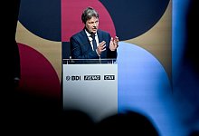 Robert Habeck - Britta Pedersen/dpa