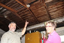 Schwalben - Sandra Castrup (LZ)