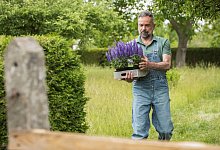 Mann tr&auml;gt Ziersalbei - Christin Klose/dpa-tmn/dpa