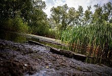 Krugpfuhl - Fabian Sommer/dpa