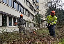 Arbeiten am Kreishaus - Marianne Schwarzer