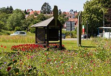 Blumen HBM - Patrizia Lerch