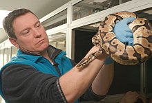 &laquo;Gesch&ouml;pfe wie wir...&raquo; - Thomas Beckmann/ZDF/dpa