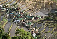 Reisbauterrrassen um Batad - Andreas Drouve/dpa-tmn