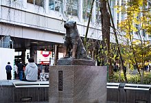 Hachiko-Statue in Tokio - Taidgh Barron/ZUMA Press Wire/dpa