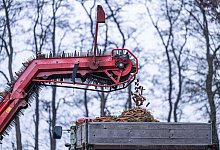 Ernte im Winter - Guido Kirchner/dpa
