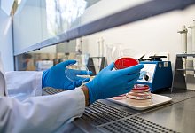 Ehec-Infektionen in MV - Guido Kirchner/dpa