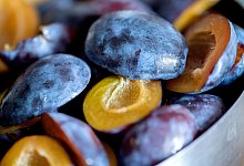 Zwetschgen liegen in einer Schüssel - Andrea Warnecke/dpa-tmn