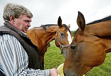 Pferde sind sein Metier: Z&uuml;chter Hartwig Rellensmann hat in der Szene einen guten Ruf. Foto: Scherzer