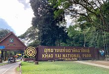 Der Eingang des bei Touristen aus aller Welt beliebten Nationalparks Khao Yai im Zentrum Thailands. - Carola Frentzen/dpa