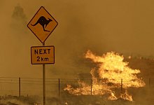 Australiens Brandkatastrophe und ihre Folgen - Foto: Rick Rycroft/AP/dpa