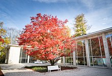 Fassade der Wandelhalle - Torben Gocke