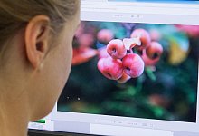 Es gibt mehr Programme als Photoshop - Foto: Karolin Kr&auml;mer/dpa-tmn