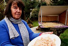 p1000219_hell - Till Sadlowski