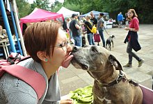 sa_listenhunde - Nicole Ellerbrake