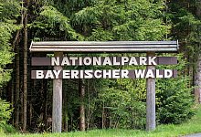 Pressekonferenz im Nationalpark Bayerischer Wald - Armin Weigel/dpa