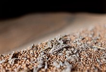 Getreide-Ernte in NRW - Rolf Vennenbernd/dpa